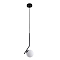 ARTE LAMP A1924SP-1BK