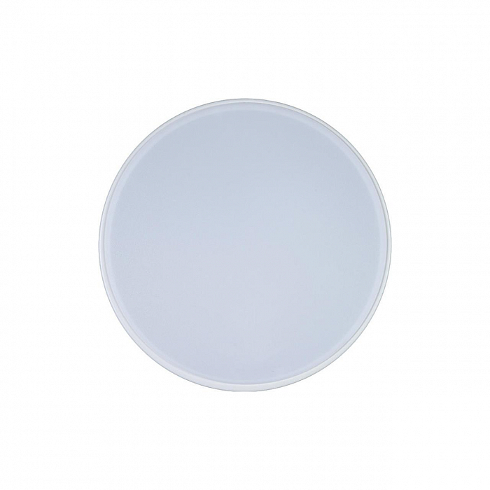 Светильник светодиодный LOFT IT 10002/12 White