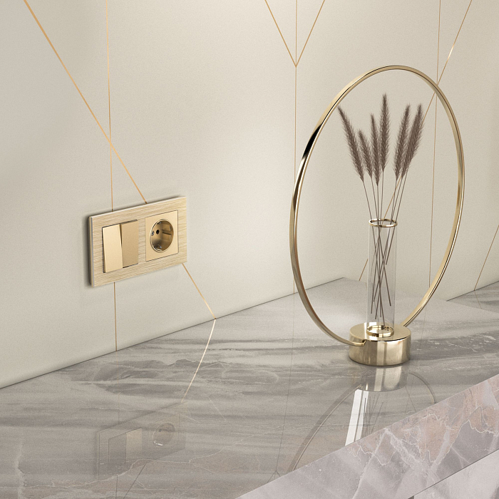 Розетка Werkel W1171011