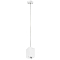 Светильник одинарный Lightstar RP336