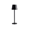 ARTE LAMP A1614LT-1BK