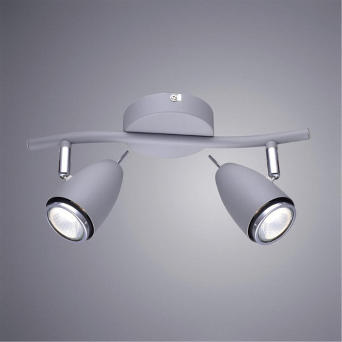 Спот на 2 лампы ARTE LAMP A1966AP-2GY