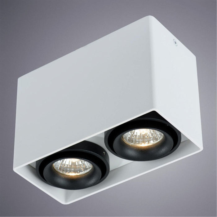 Светильник накладной ARTE LAMP A5655PL-2WH