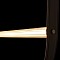 Светильник LOFT IT 10221/2050