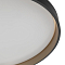 Светильник Citilux CL753511G