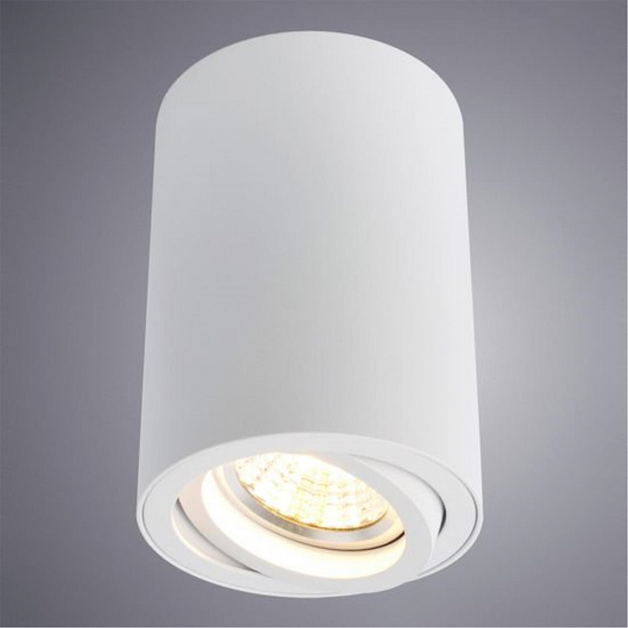 Светильник накладной ARTE LAMP A1560PL-1WH