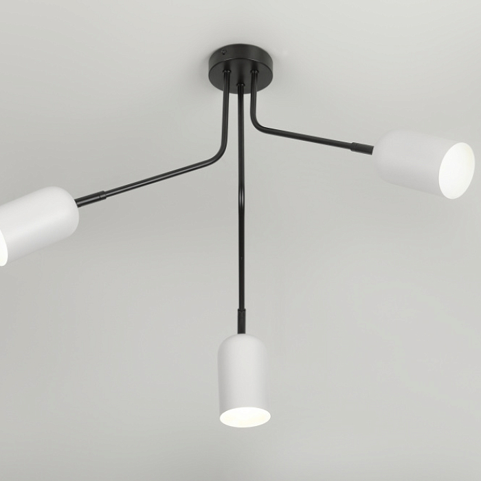Rivoli 3167-303