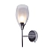 Бра ARTE LAMP A7951AP-1CC