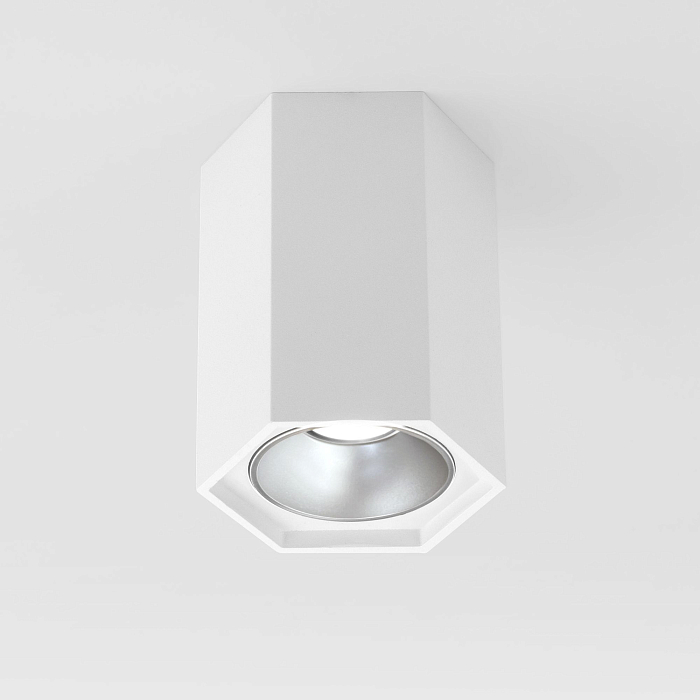 Светильник накладной Elektrostandard 25036/LED