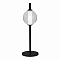 Настольная лампа ST LUCE SL6120.404.01