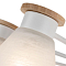 Люстра потолочная ARTE LAMP A1031PL-8WH
