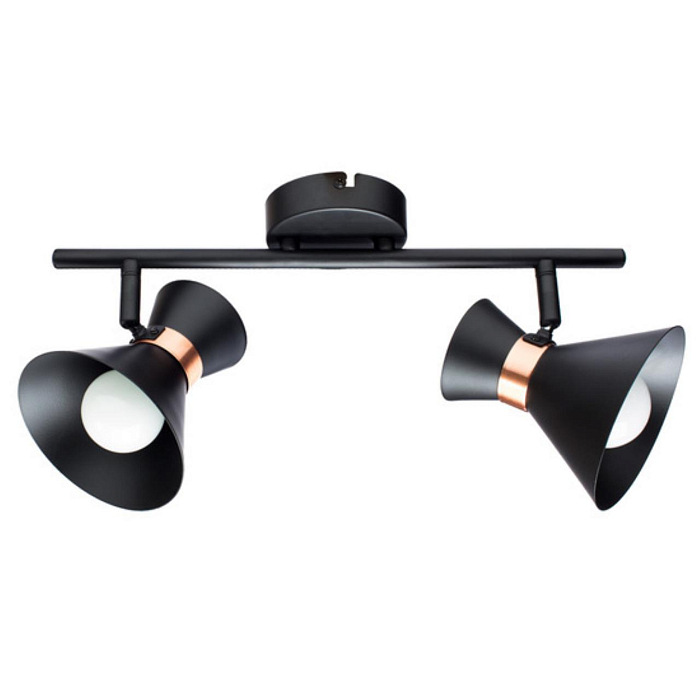 Спот на 2 лампы ARTE LAMP A1406AP-2BK
