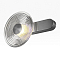 Светильник Citilux CL245021