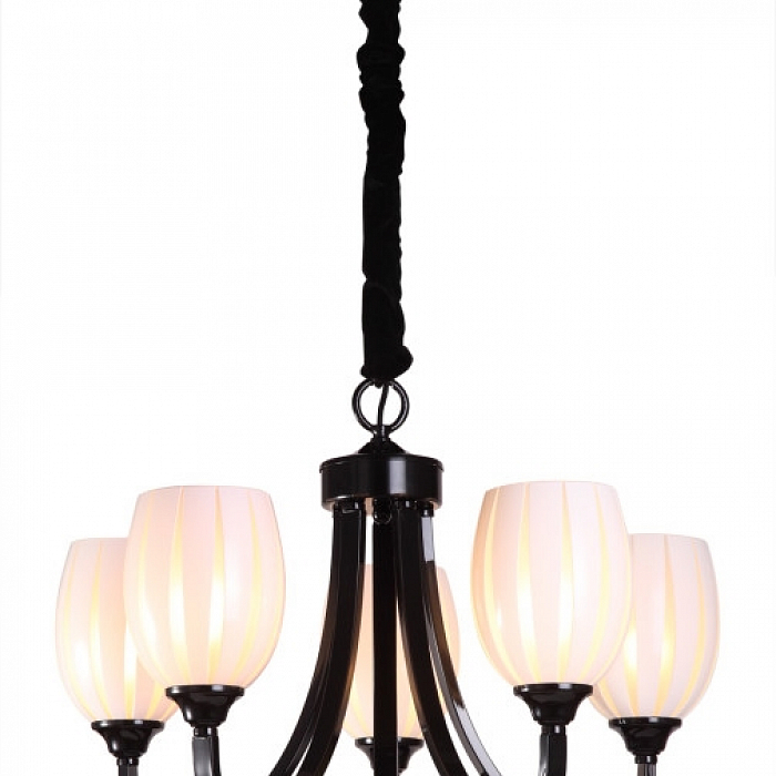 Люстра подвесная Sfera Sveta 2141/5 BLACK