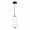 Светильник ST LUCE SL6121.403.01