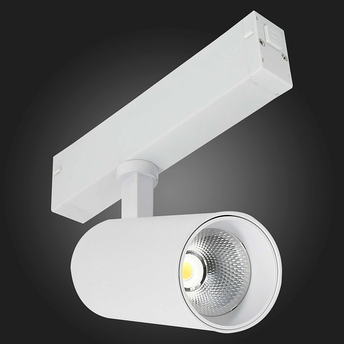 Светодиодная лента ST LUCE ST660.596.10H