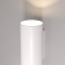 Светильник на 2 лампы Elektrostandard MRL 1016 белый