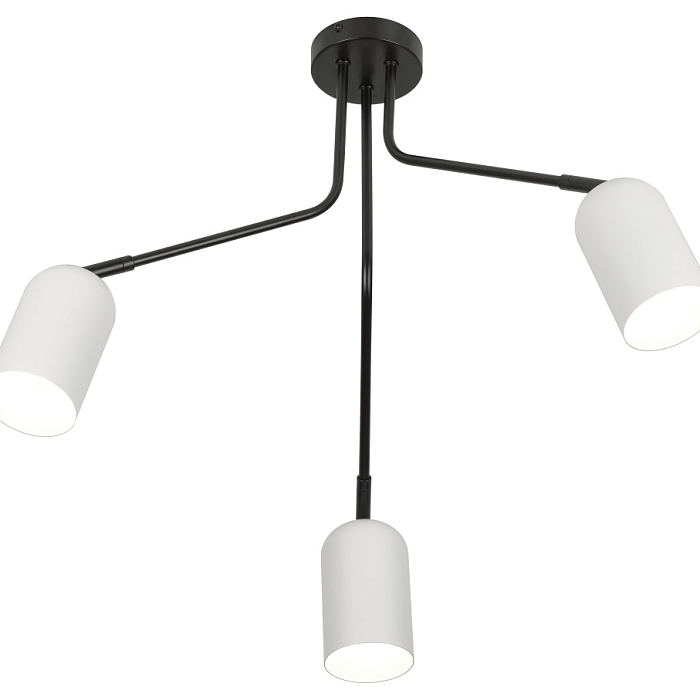 Rivoli 3167-303