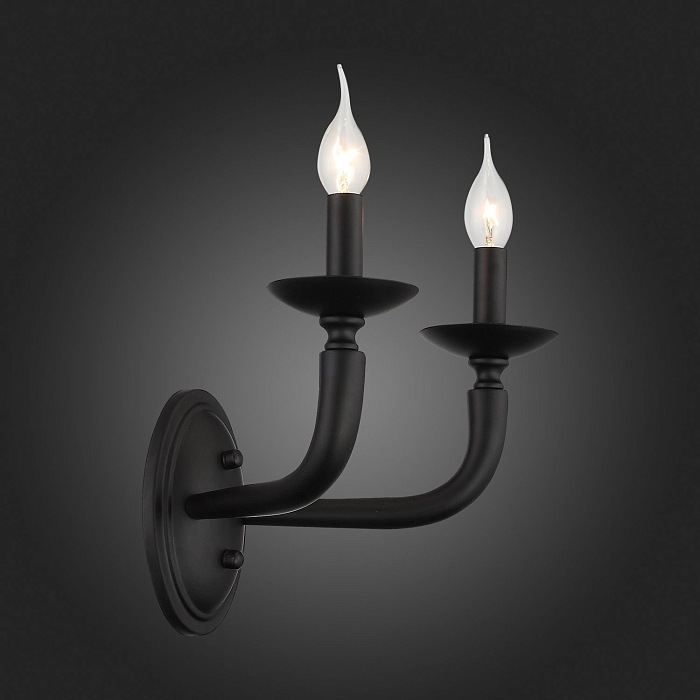 Встраиваемый на 2 лампы ST LUCE SL1114.401.02