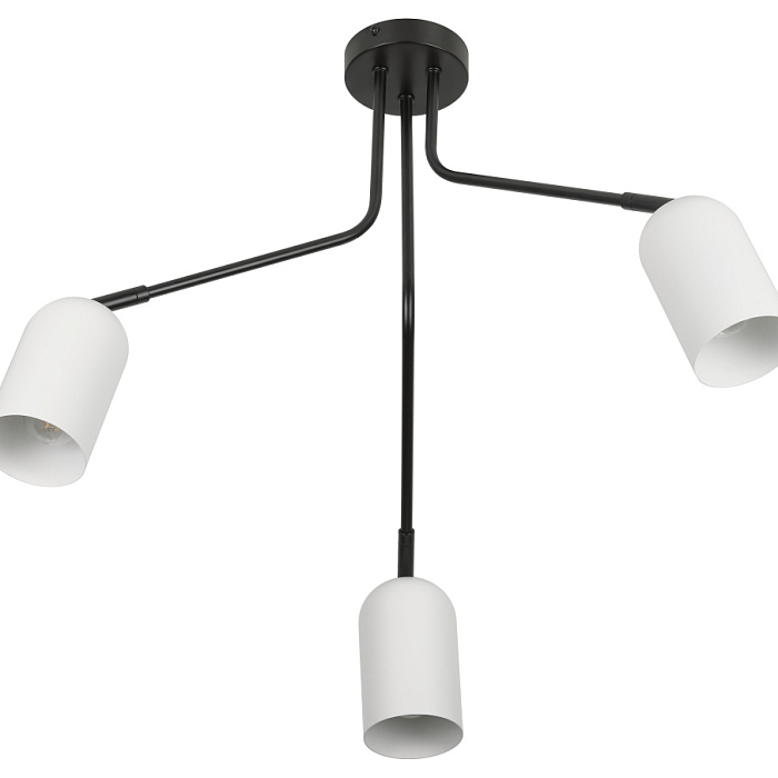 Rivoli 3167-303