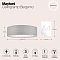 Светильник потолочная Maytoni MOD613CL-04GR