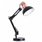 Настольная лампа для школьников ARTE LAMP A2016LT-1BK