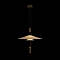 Светильник LOFT IT 10244/A Brass