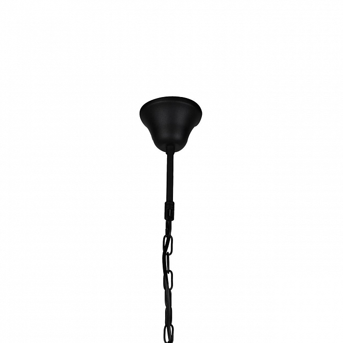 Светильник одинарный Favourite 1975-1P