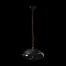 Светильник одинарный LOFT IT 8134-D