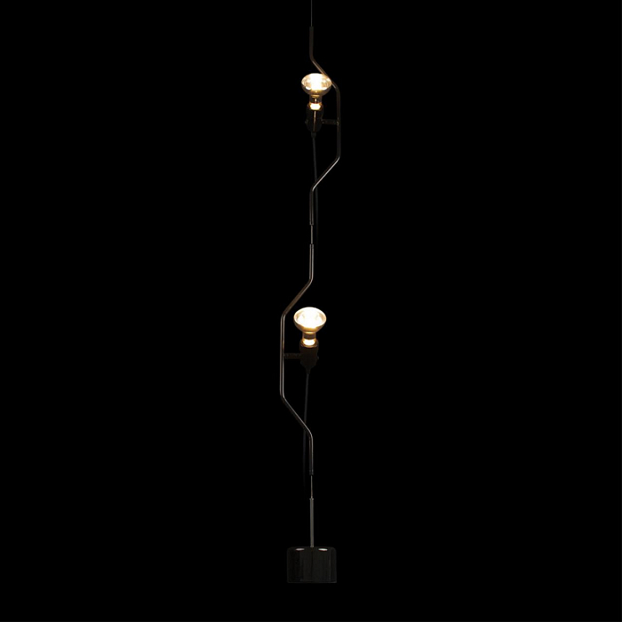 Светильник LOFT IT 10346/2 Black