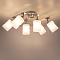 CL119260 Сиерра Алюм. Св-к Люстра Люстра потолочная  CL119260