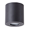 Светильник накладной ARTE LAMP A1460PL-1BK