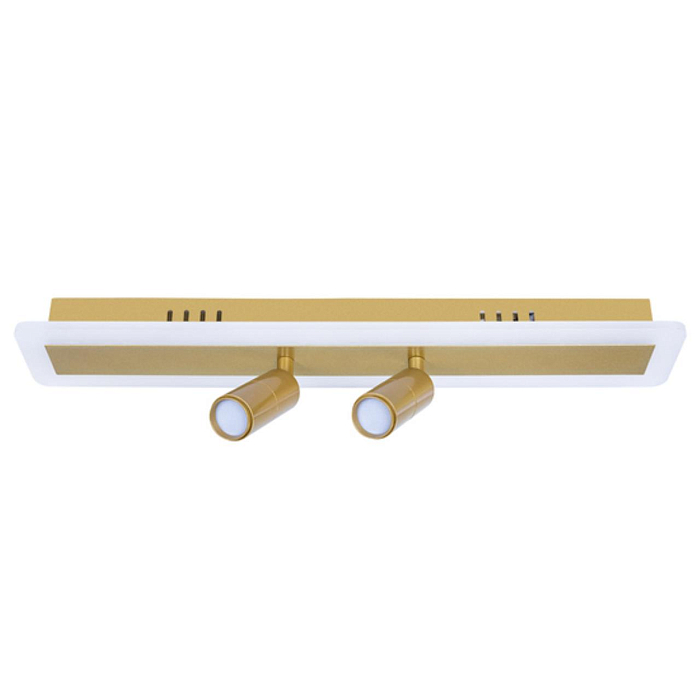 Спот ARTE LAMP A2607PL-22GO