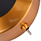 Интерьерная подсветка подсветка картины ARTE LAMP A7912AP-1BK