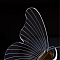 Светильник светодиодный ARTE LAMP A2187SP-2GO