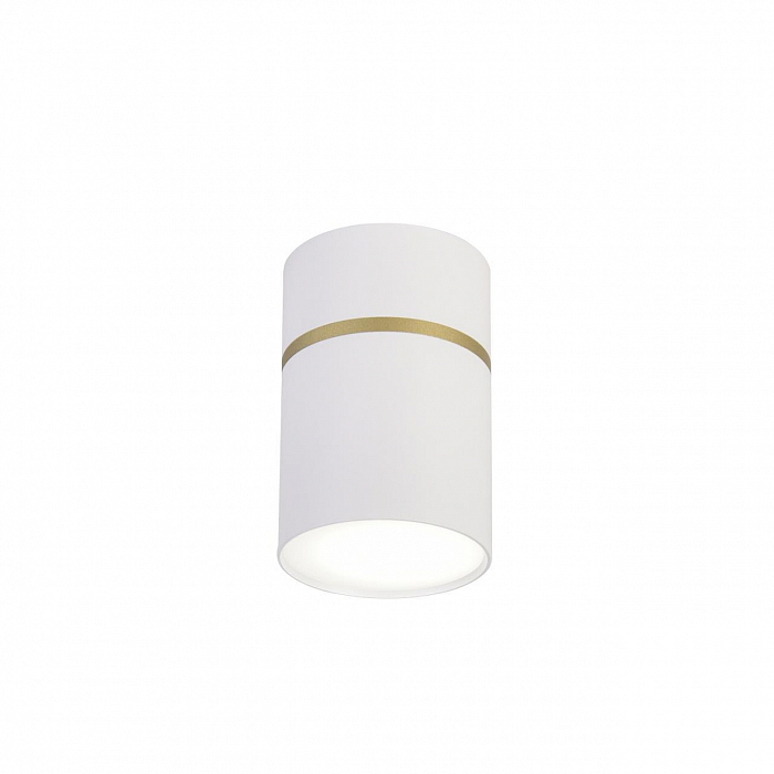 Светильник накладной Favourite 3067-1C