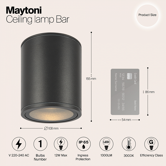 Светильник потолочный Outdoor O306CL-L12GF