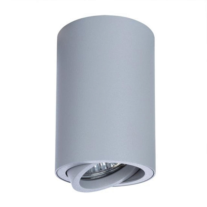 Светильник накладной ARTE LAMP A1560PL-1GY
