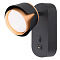 ARTE LAMP A8026AP-1BK
