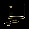 Светильник подвесная LOFT IT 10017/4M