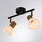 Спот на 2 лампы ARTE LAMP A3117PL-2BK