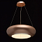 Люстра MW-Light 392016001