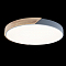Светильник светодиодный LOFT IT 10004/36 Grey