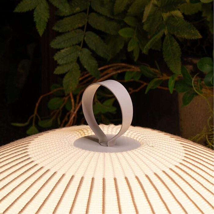 Настольная лампа Divinare 1808/33 TL-50