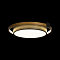 Светильник LOFT IT 10169