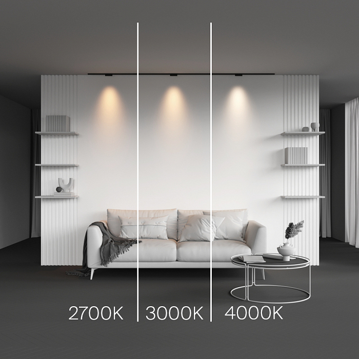 Трековая система Technical TR193-1-5W4K-M-B