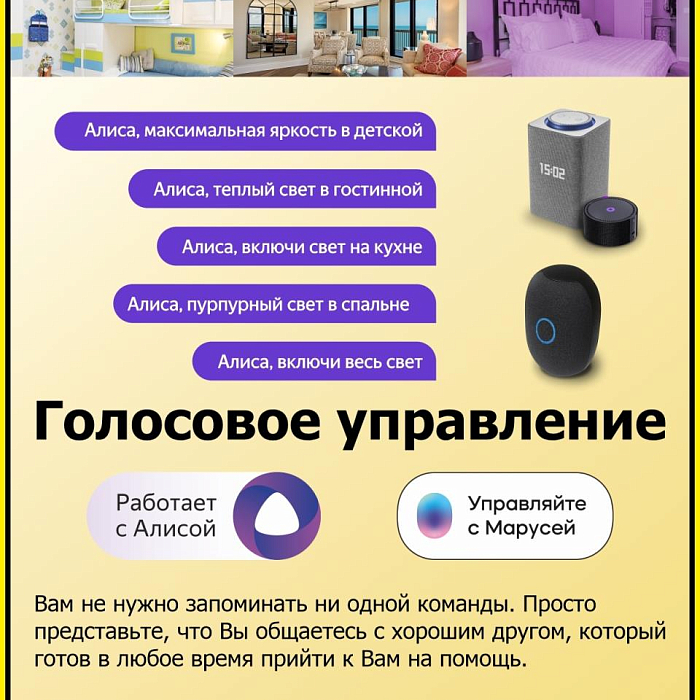 Люстра потолочная  CL713A80G