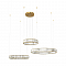 Светильник LOFT IT 10135/3 Gold