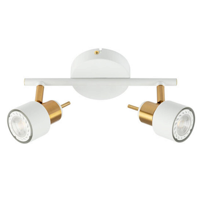 Спот на 2 лампы ARTE LAMP A1906PL-2WH