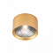 Светильник Crystal Lux CLT 525C70 GO 4000K